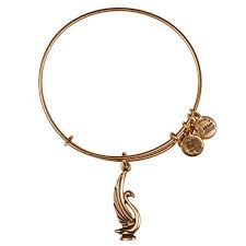 Alex shops and ani swan bracelet