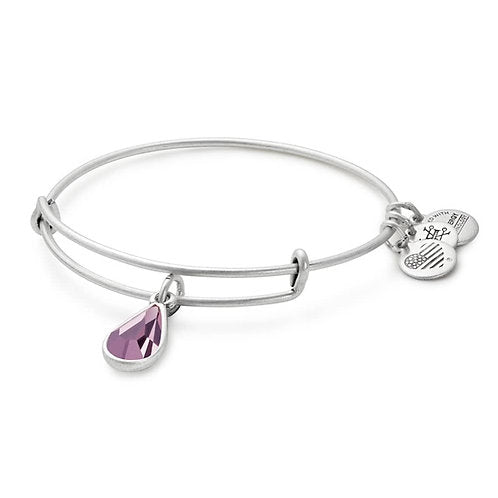 Alex and ani birthstone bracelet clearance july