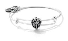 Load image into Gallery viewer, Unexpected Miracles Slider Bangle - Alex and Ani