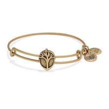 Load image into Gallery viewer, Unexpected Miracles Slider Bangle - Alex and Ani