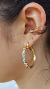 14K Tri Color Gold Hoop Earrings
