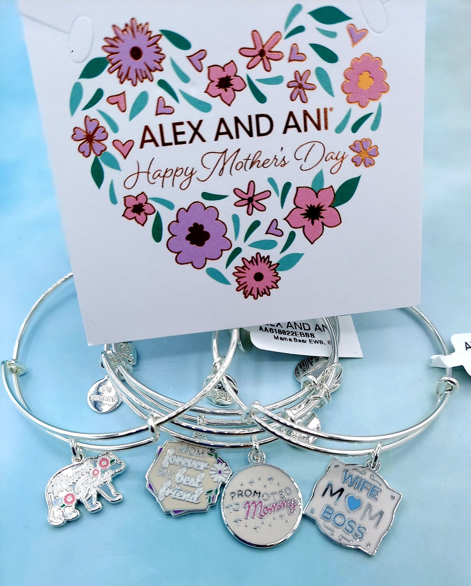 Mama Bear Charm Bangle Bracelet Alex and Ani – Marie's Jewelry Store