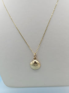 Shell Pendant & Chain - 14K Yellow Gold