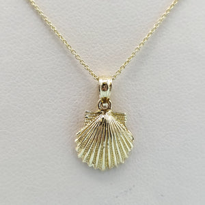 Sea Shell Necklace - 14K Yellow Gold