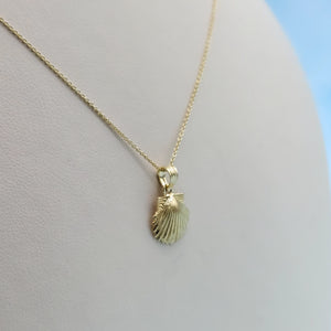 Sea Shell Necklace - 14K Yellow Gold