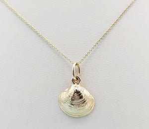 Shell Pendant & Chain - 14K Yellow Gold