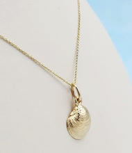 Load image into Gallery viewer, Shell Pendant &amp; Chain - 14K Yellow Gold