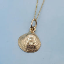 Load image into Gallery viewer, Shell Pendant &amp; Chain - 14K Yellow Gold