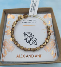 Load image into Gallery viewer, Pumpkin Motif Beaded, RG