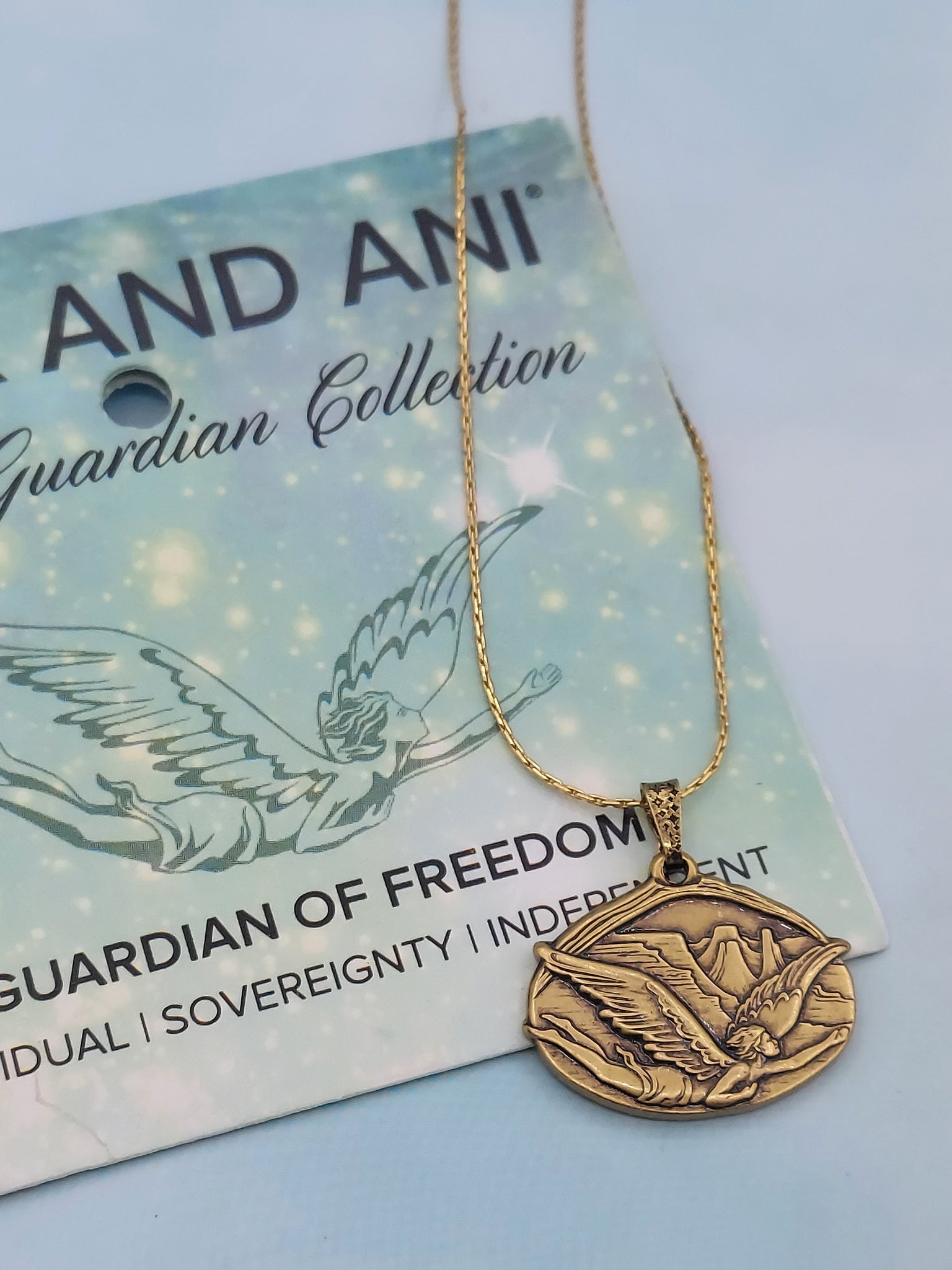 Alex and ani on sale guardian angel necklace