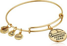 Load image into Gallery viewer, Alex and Ani Boston Fenway Park Bangle Bracelet