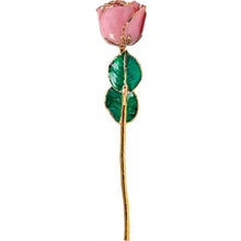 Load image into Gallery viewer, Lacquered Pink Sparkle Rose with Gold Trim