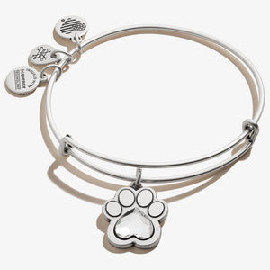 Crystal Paw Prints of Love Charm Alex and Ani