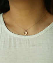 Load image into Gallery viewer, Horoscope Necklace- Pisces