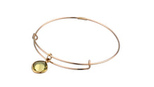 Load image into Gallery viewer, Healing Crystal Color Therapy Bangle Bracelet - Alex and Ani