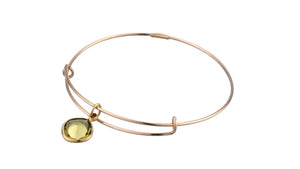 Healing Crystal Color Therapy Bangle Bracelet - Alex and Ani
