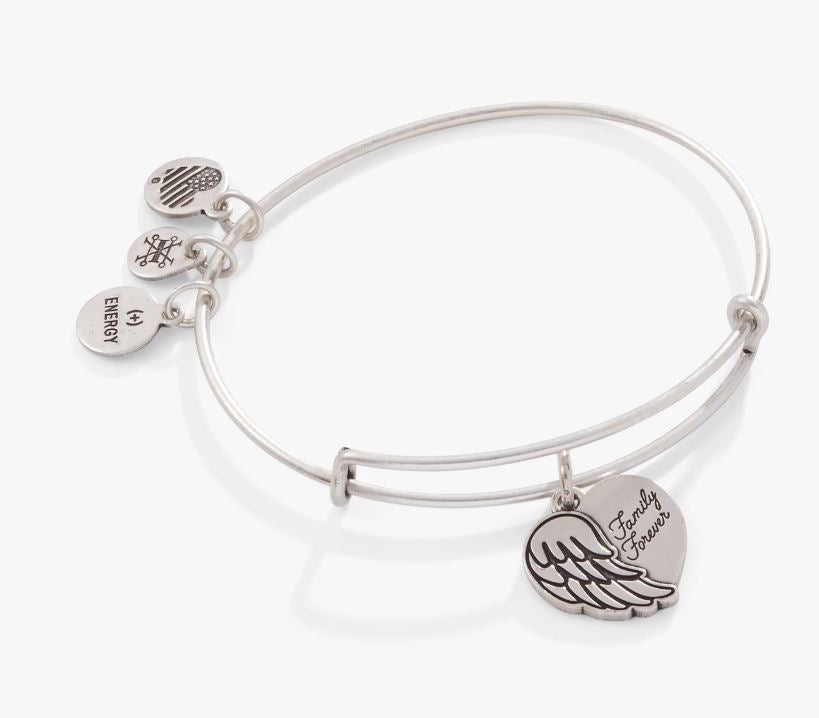 Angel wing bracelet on sale alex and ani