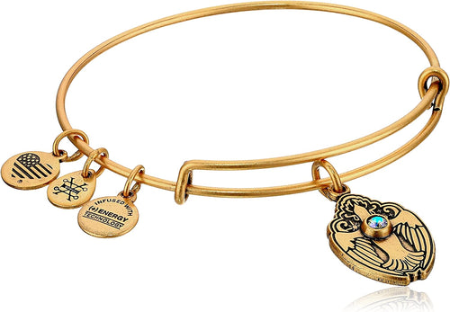 Crystal Dove Charm Bangle Bracelet - Alex and Ani