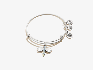 Alex and ani dragonfly clearance charm bangle