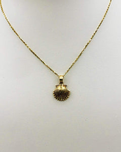 14K Gold Sea Shell Necklace