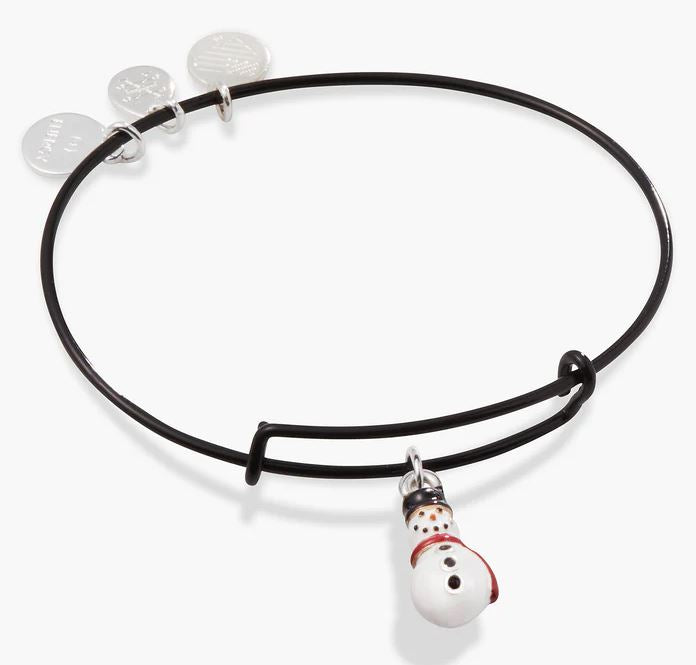 Alex and ani orders snowman charm bangle