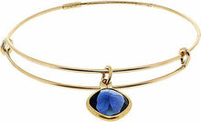 Load image into Gallery viewer, Truth Crystal Color Therapy Bangle Bracelet - Alex and Ani